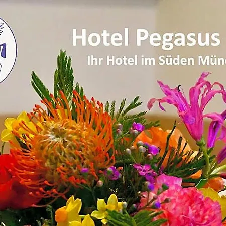 Pegasus